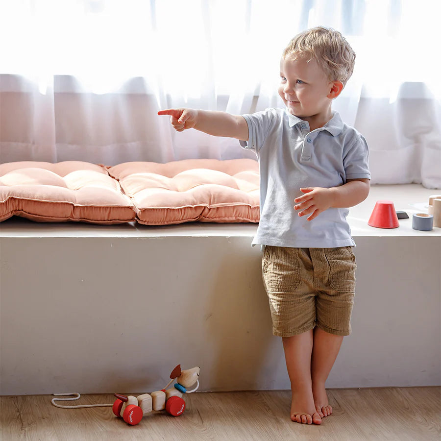 Happy Puppy Pull Toy by PlanToys