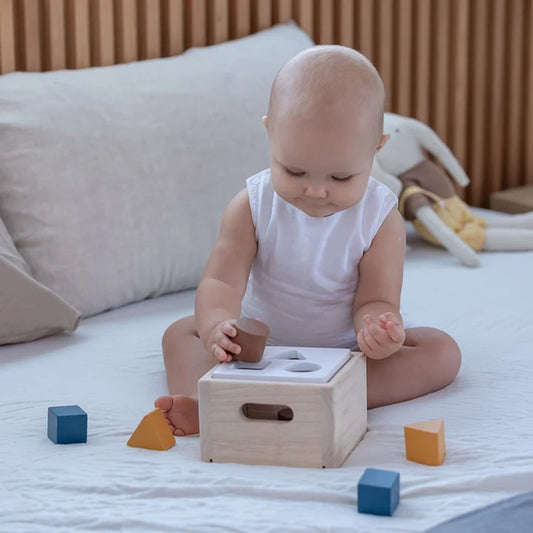 Shape & Sort It Out - Orchard by PlanToys