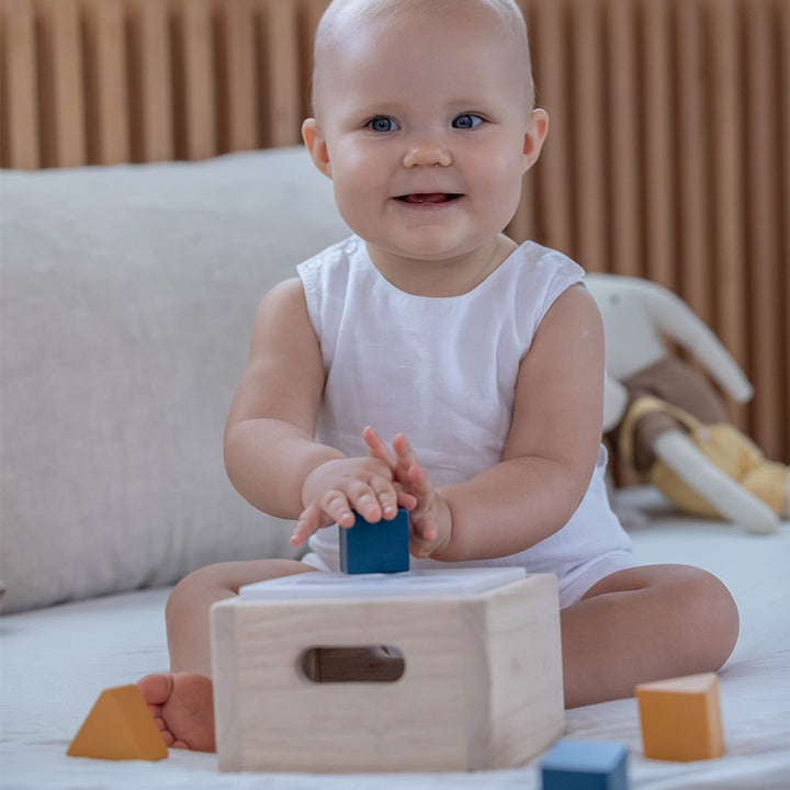 Shape & Sort It Out - Orchard by PlanToys