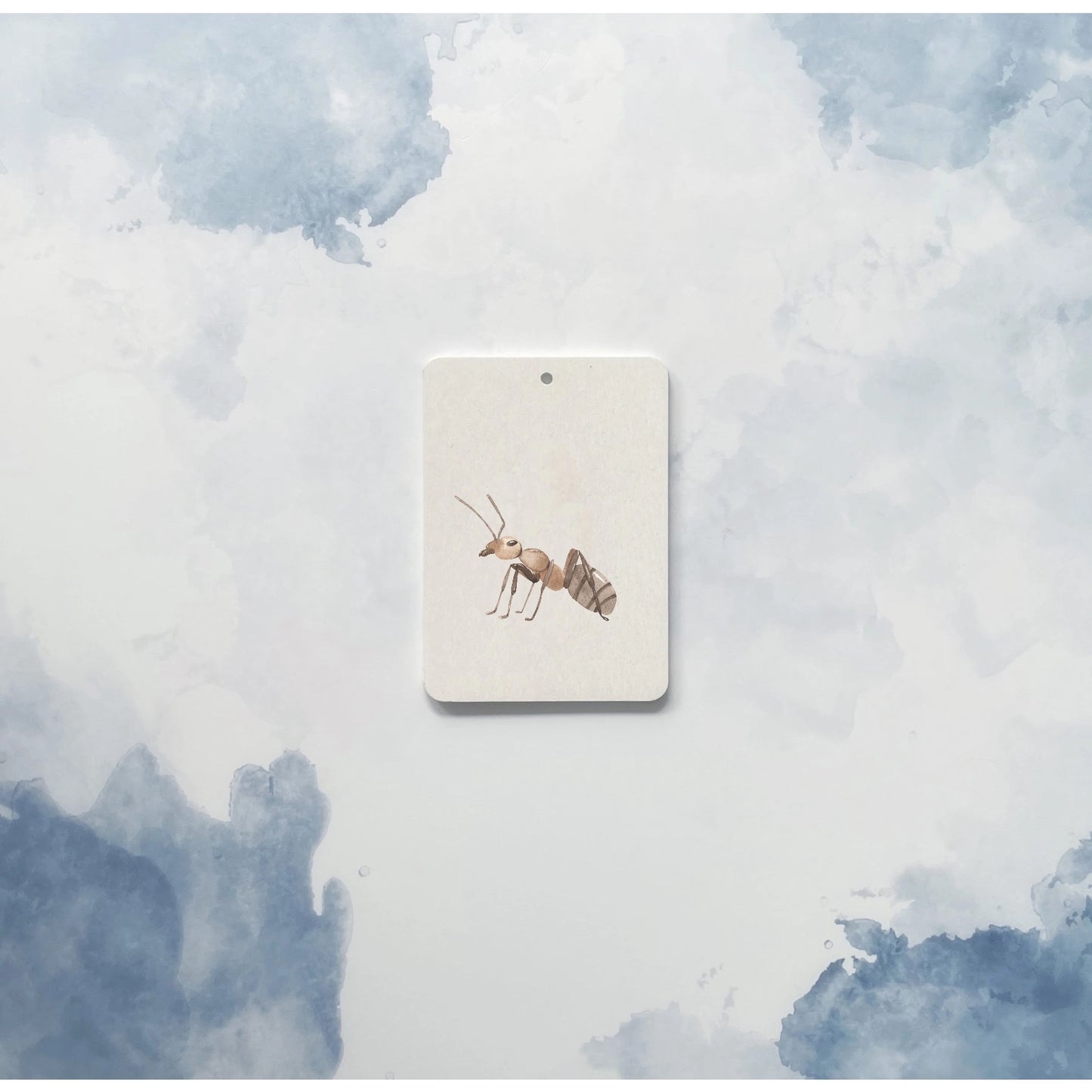 Mini Set: Creepy Crawlies - In A Flash Flashcards