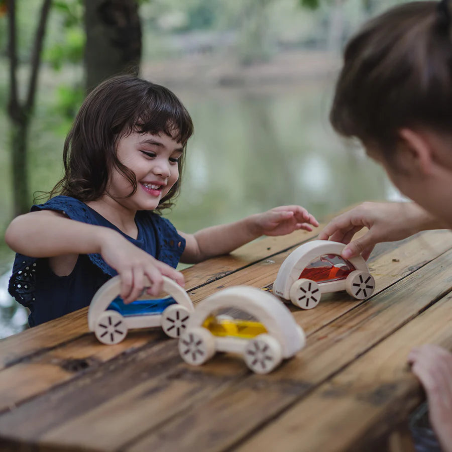 Wautomobile by PlanToys (Three Colours)