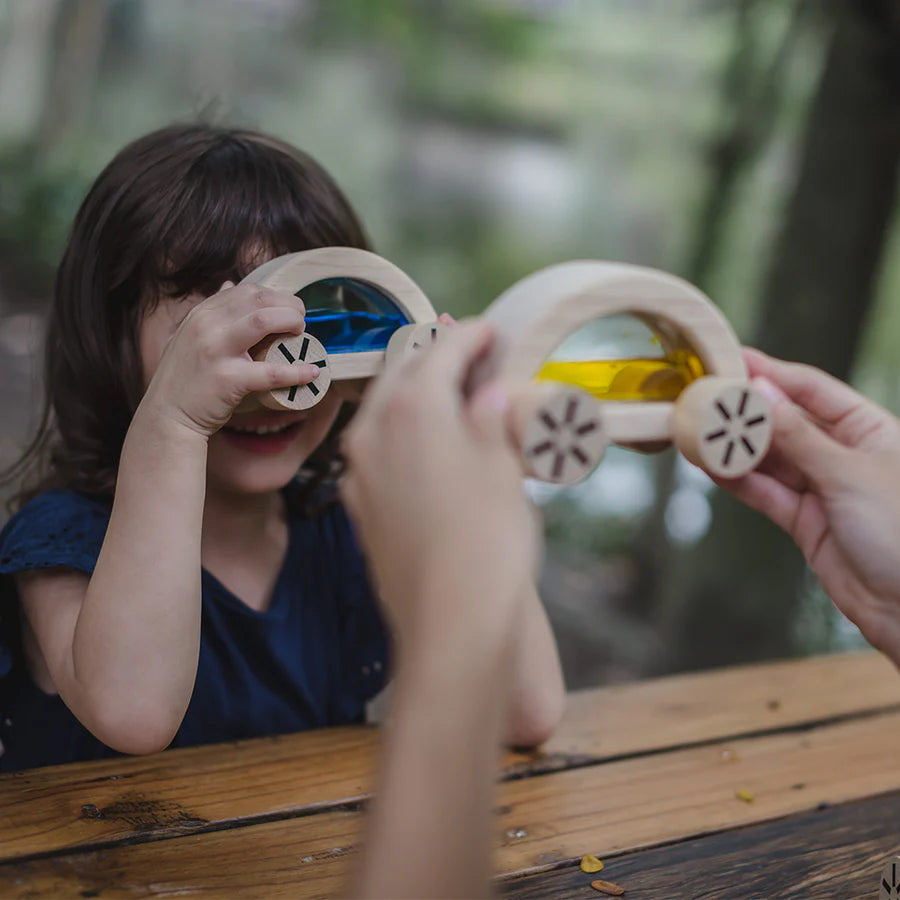 Wautomobile by PlanToys (Three Colours)