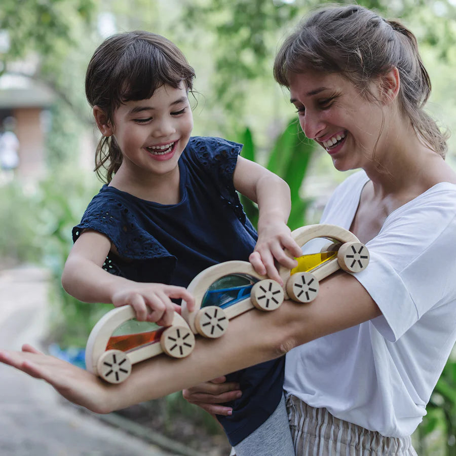 Wautomobile by PlanToys (Three Colours)