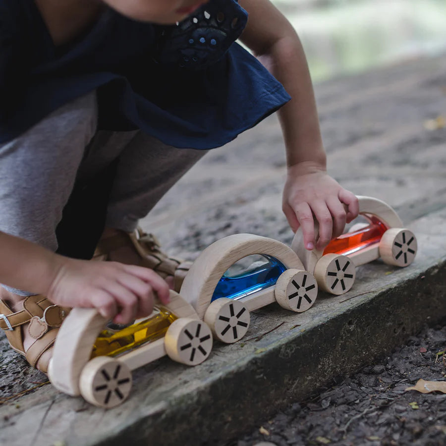 Wautomobile by PlanToys (Three Colours)