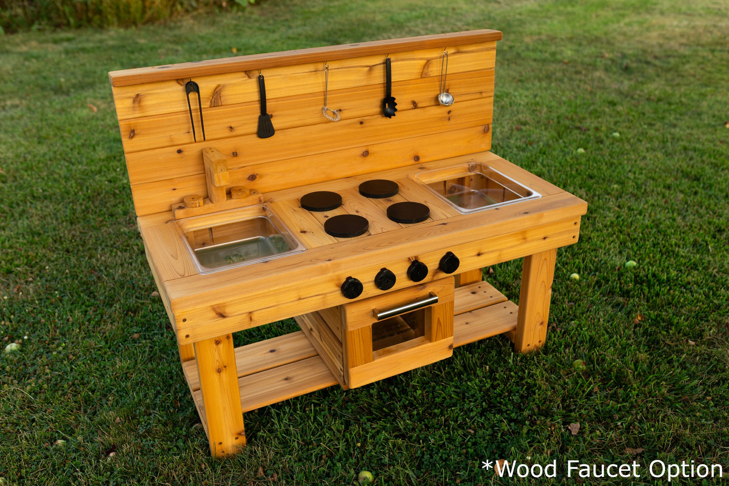 Centered Simple Kitchen with Oven (Clear Sinks)