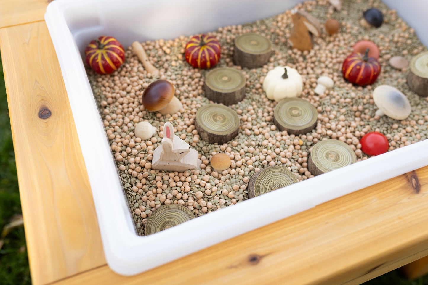 Large Bin Outdoor Sensory Table