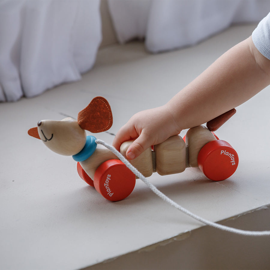 Happy Puppy Pull Toy by PlanToys
