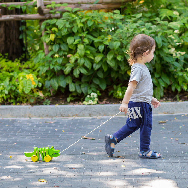 Dancing Alligator Pull Toy by PlanToys
