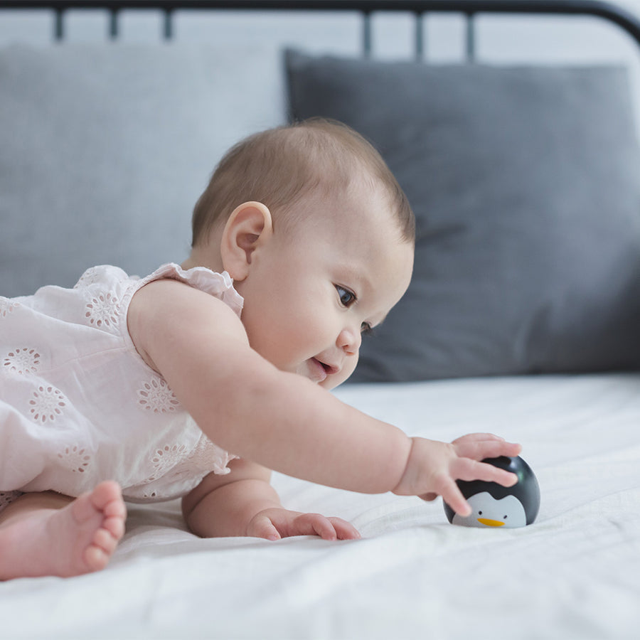 Penguin Wobbler by PlanToys