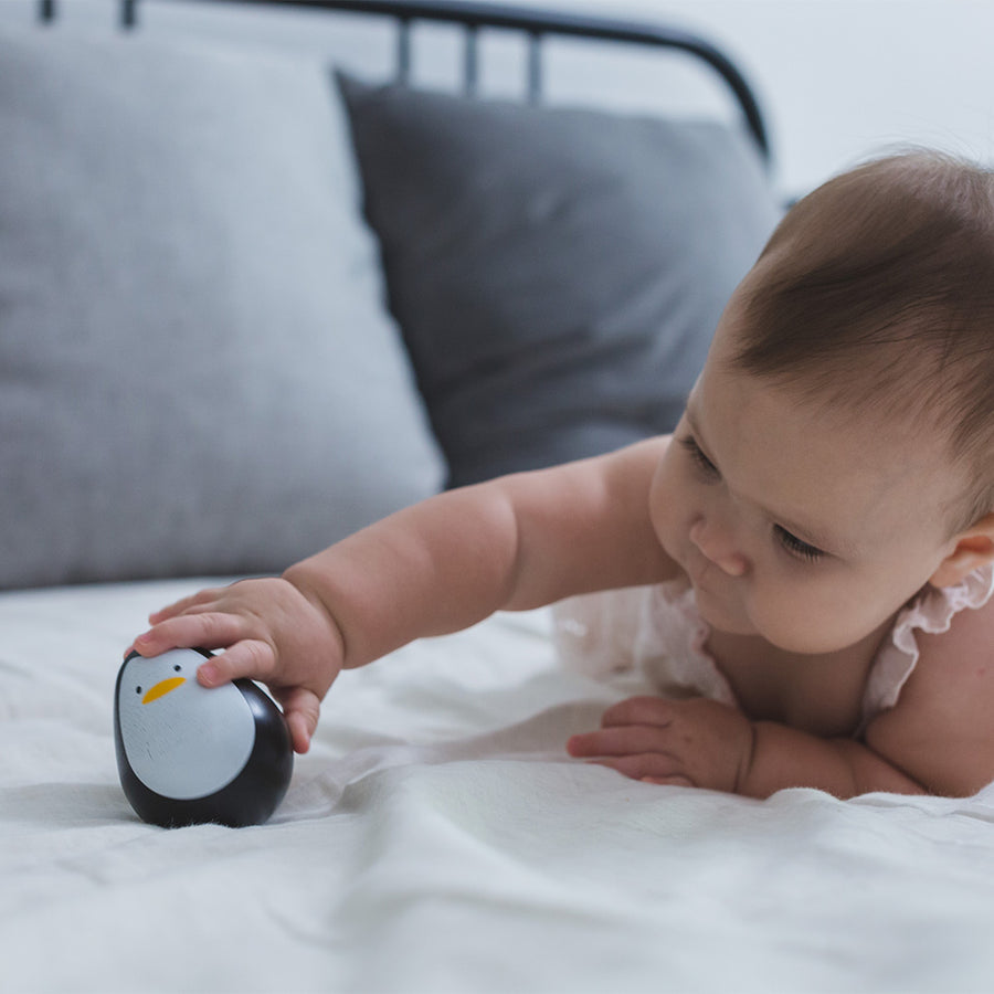 Penguin Wobbler by PlanToys