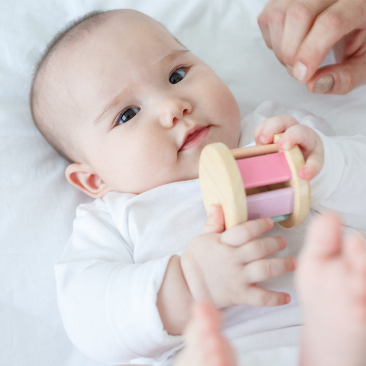 Pastel Roller by PlanToys