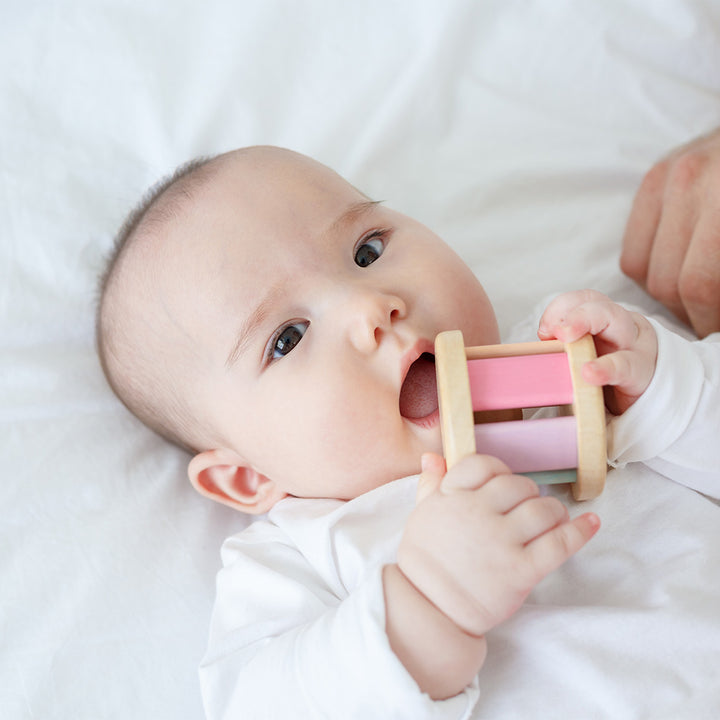 Pastel Roller by PlanToys