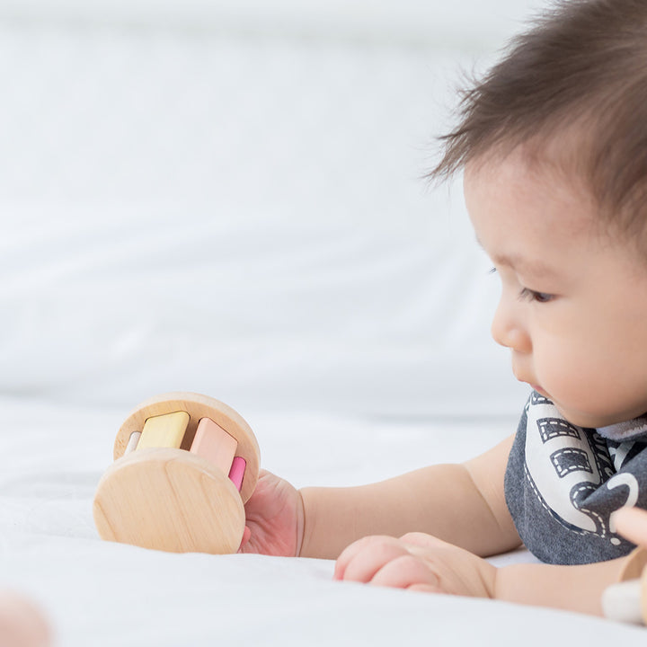 Pastel Roller by PlanToys