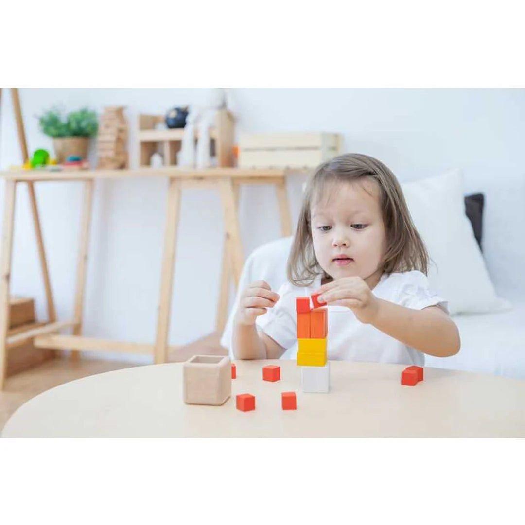Fraction Cubes by PlanToys