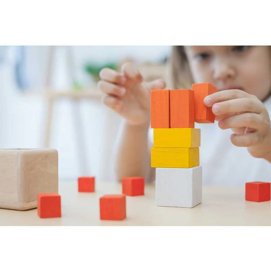 Fraction Cubes by PlanToys
