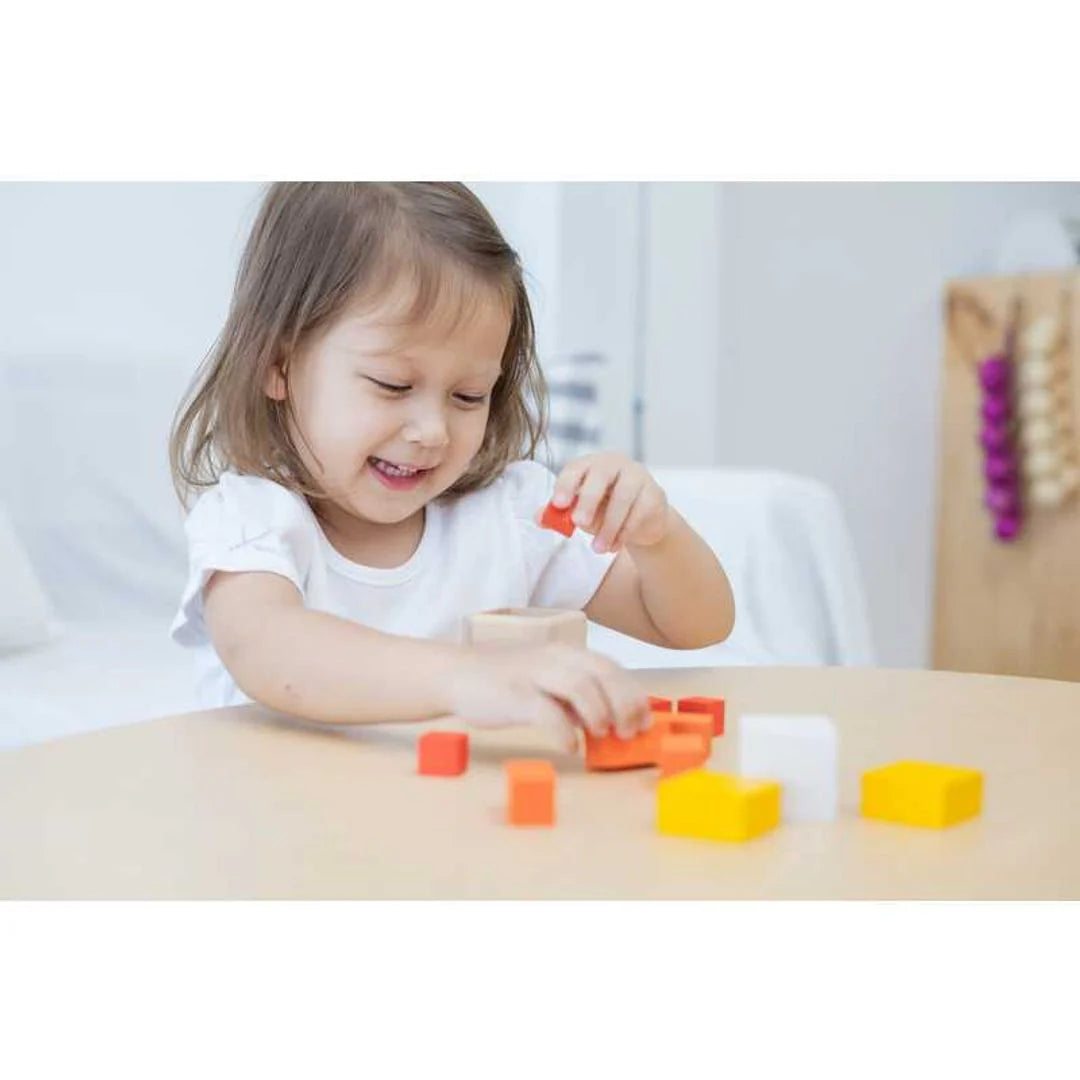 Fraction Cubes by PlanToys