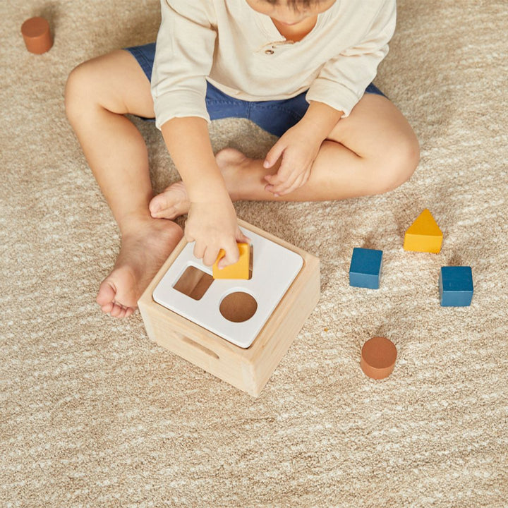 Shape & Sort It Out - Orchard by PlanToys