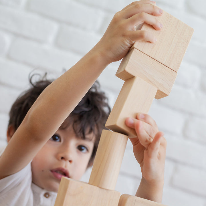 50 Unit Blocks by PlanToys