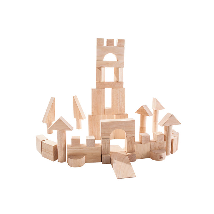 50 Unit Blocks by PlanToys