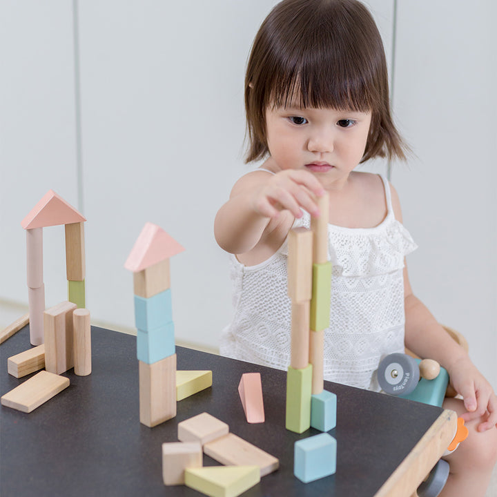 40 Pastel Unit Blocks by PlanToys