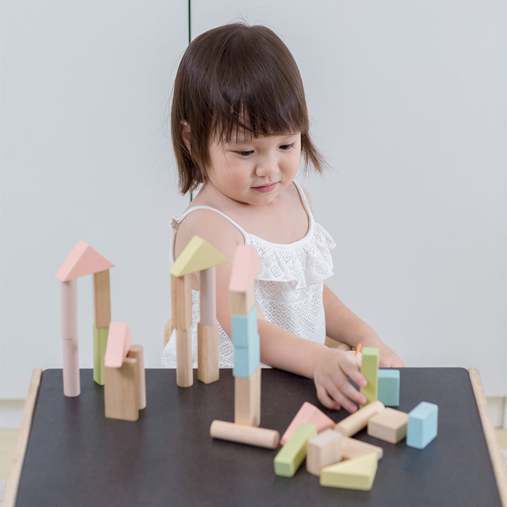 40 Pastel Unit Blocks by PlanToys