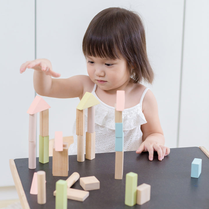 40 Pastel Unit Blocks by PlanToys