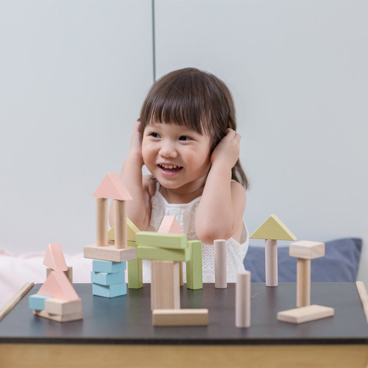 40 Pastel Unit Blocks by PlanToys