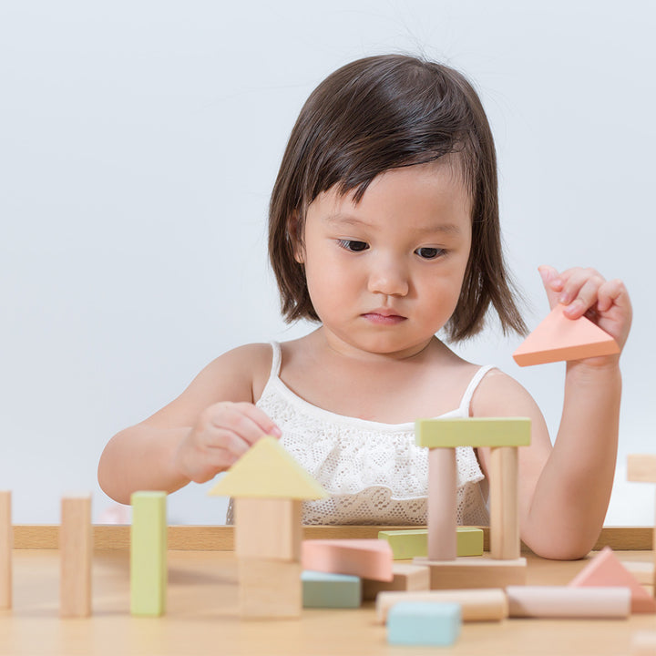 40 Pastel Unit Blocks by PlanToys