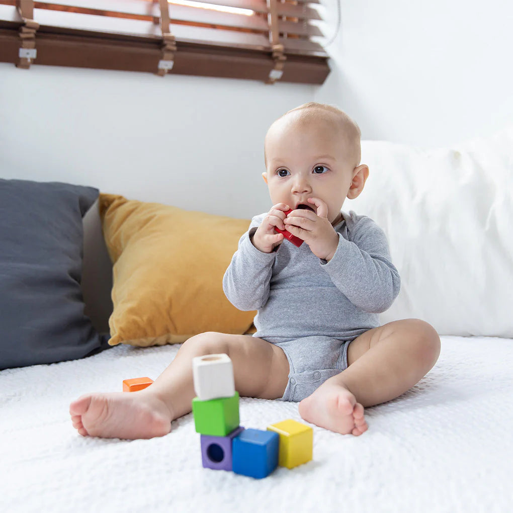 (OPEN BOX) Activity Blocks by PlanToys