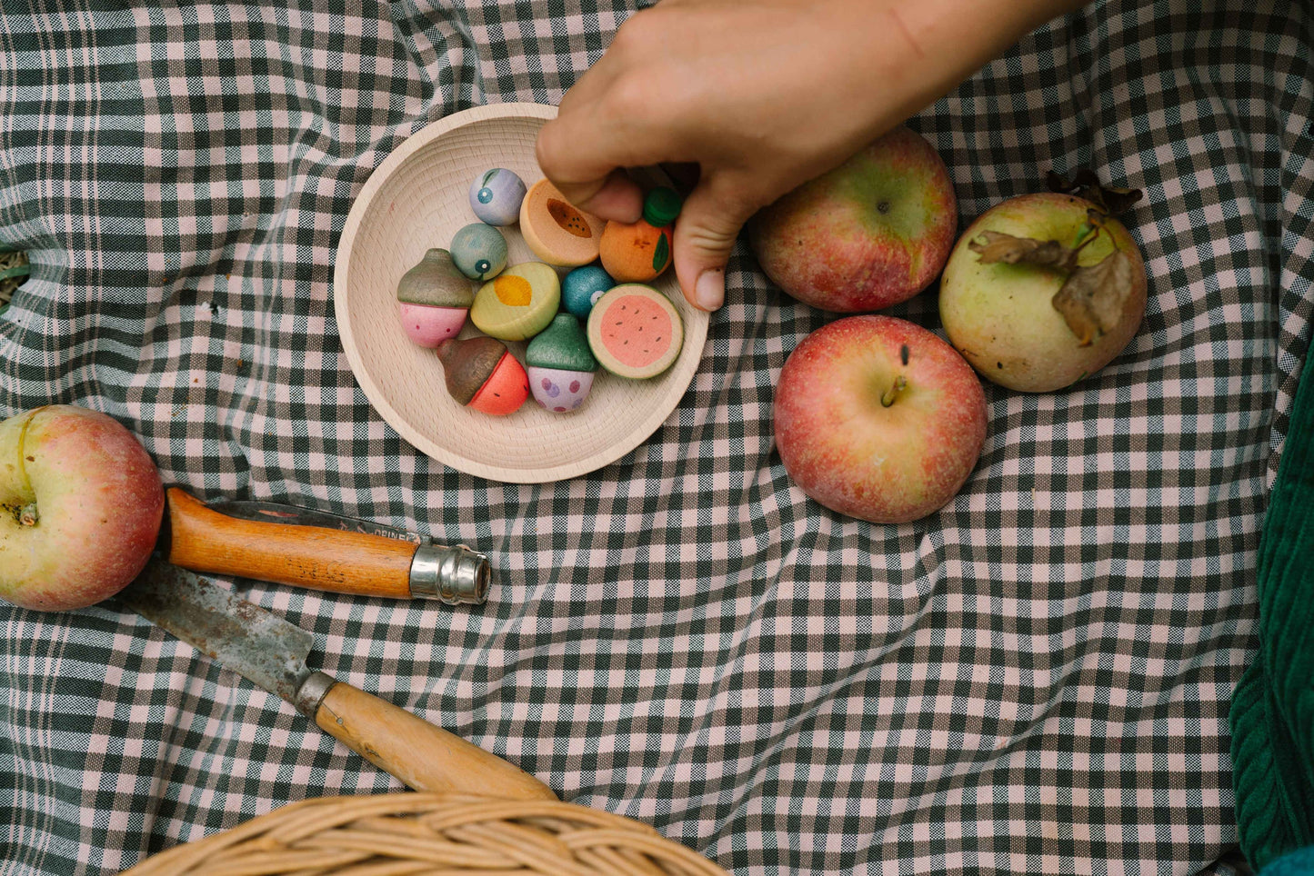 Grapat Wood Fruits (12 Pieces)
