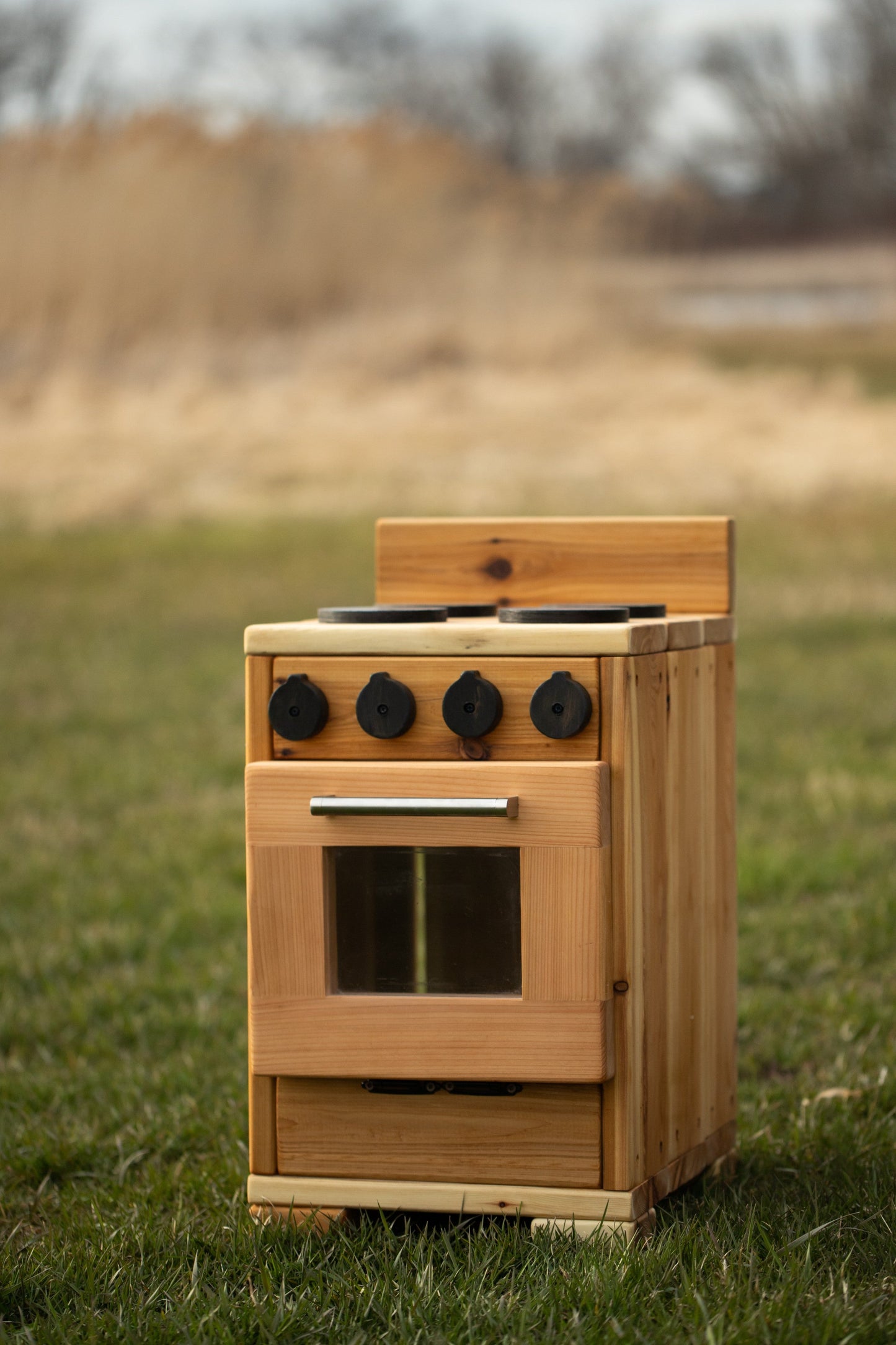 Mini Outdoor Oven