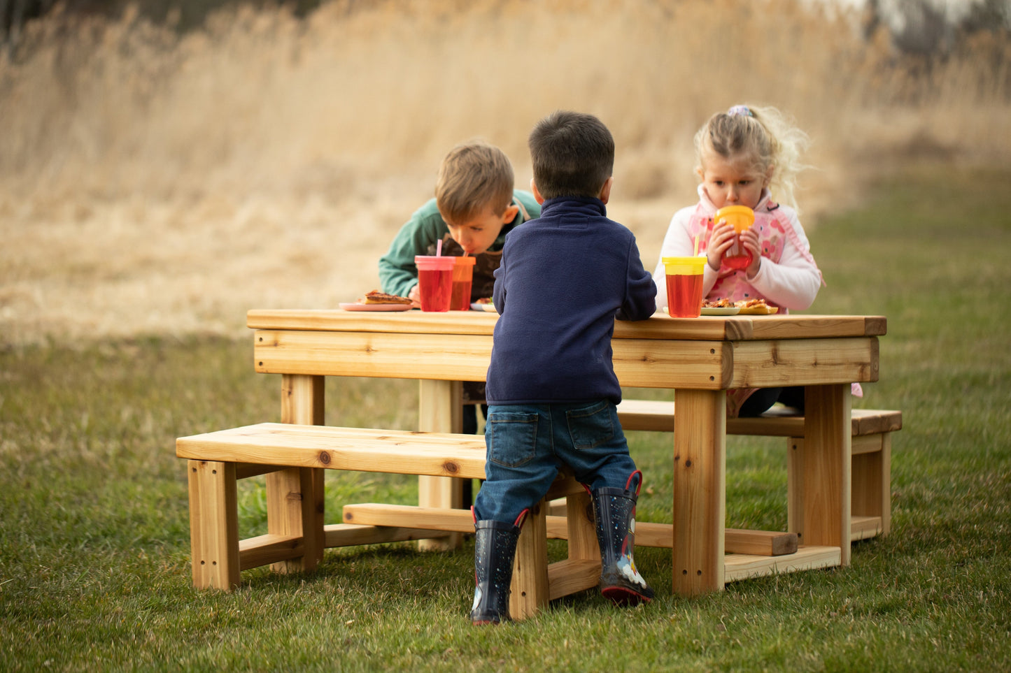 Indoor/Outdoor Harvest Table with Bench