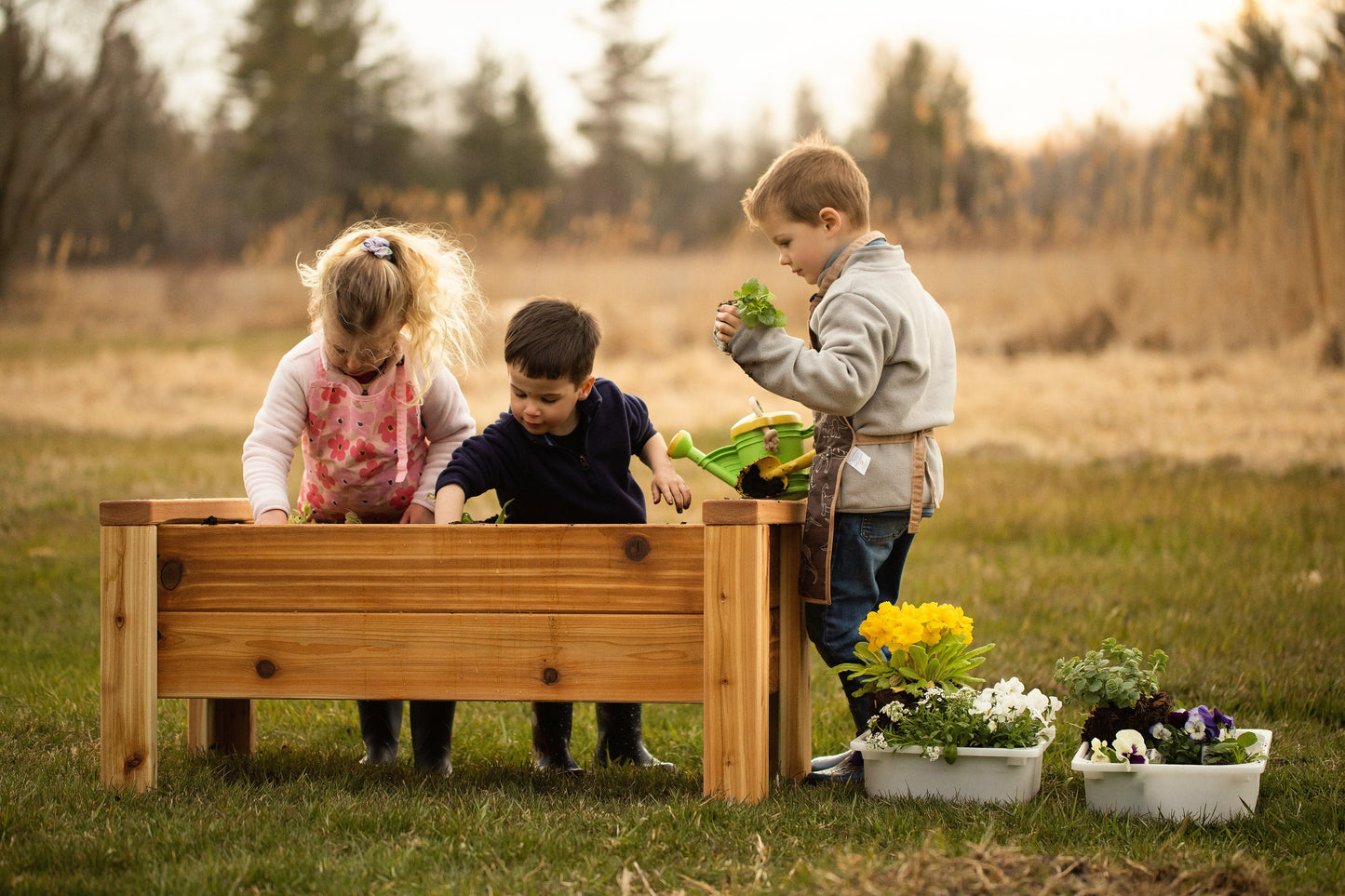 Raised Cedar Garden Bed