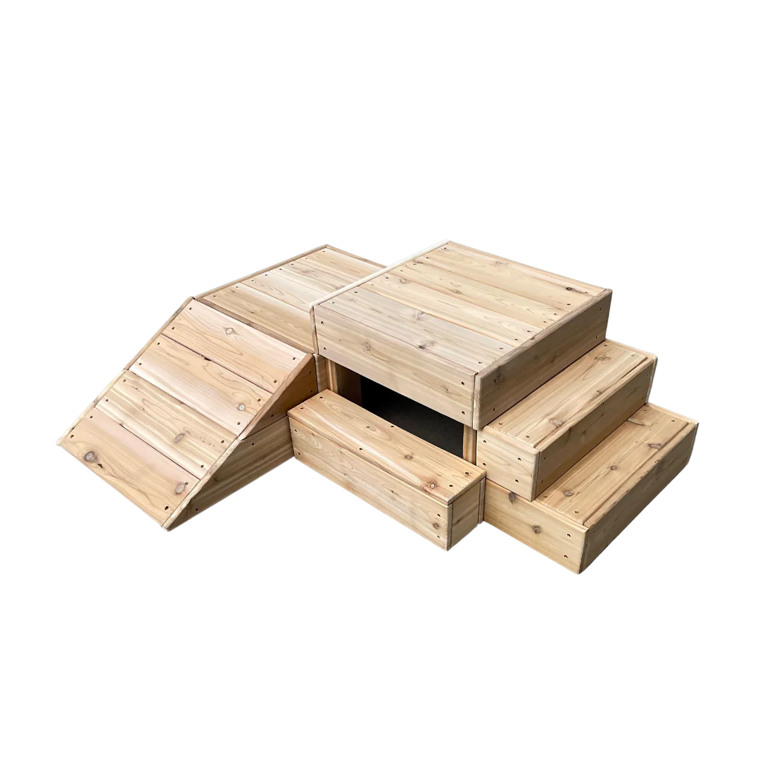 Cedar 6pc Movement and Discovery Set - Just Playing (Made in Canada)