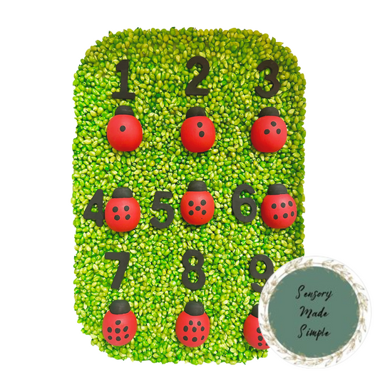 Lady Bug Counting Kit by Sensory Made Simple