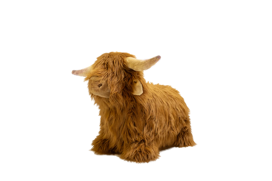 (DAMAGED BOX) Soft Bouncy Highland Cow by Wild & Soft