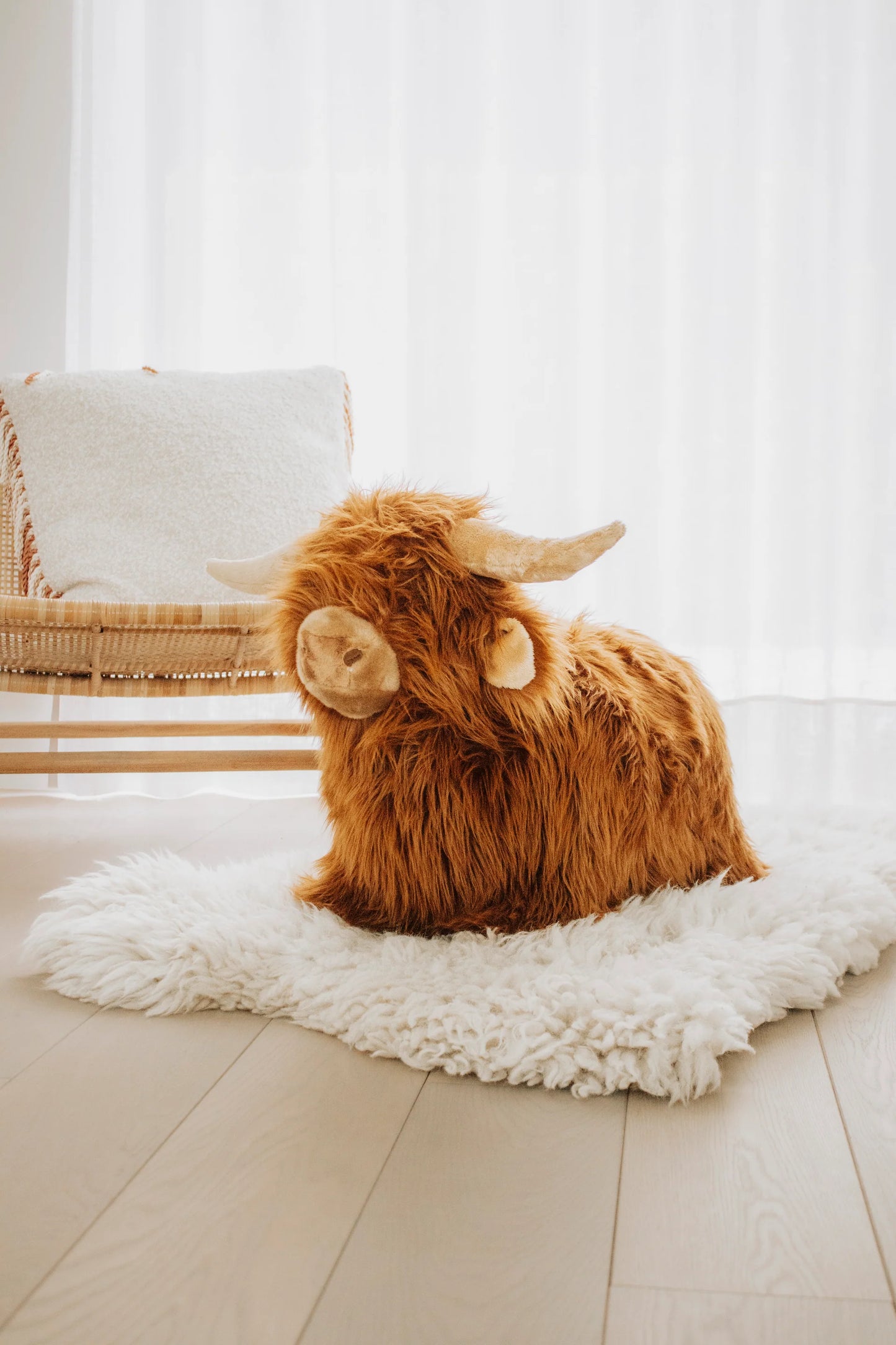 (DAMAGED BOX) Soft Bouncy Highland Cow by Wild & Soft