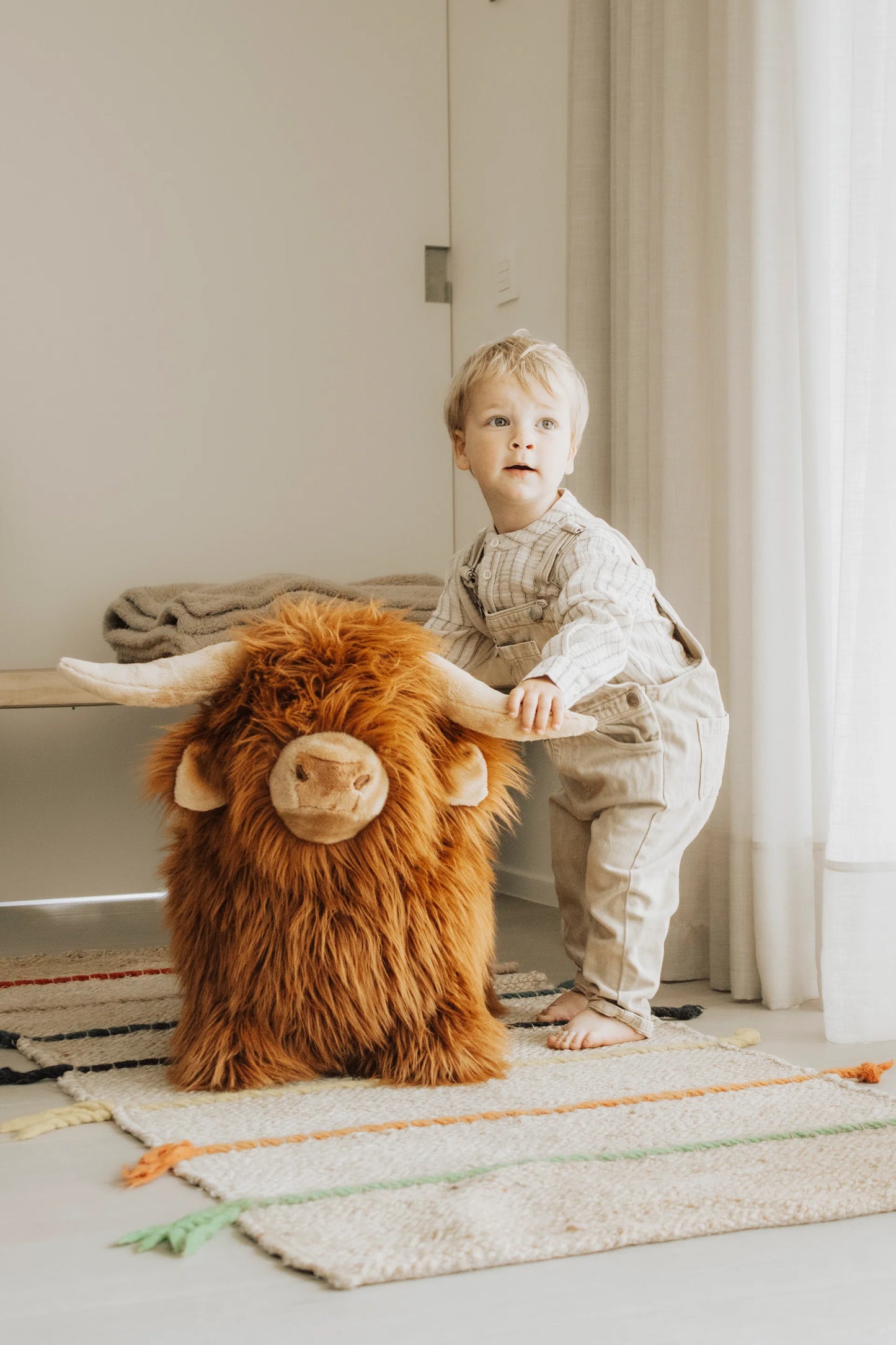 (DAMAGED BOX) Soft Bouncy Highland Cow by Wild & Soft