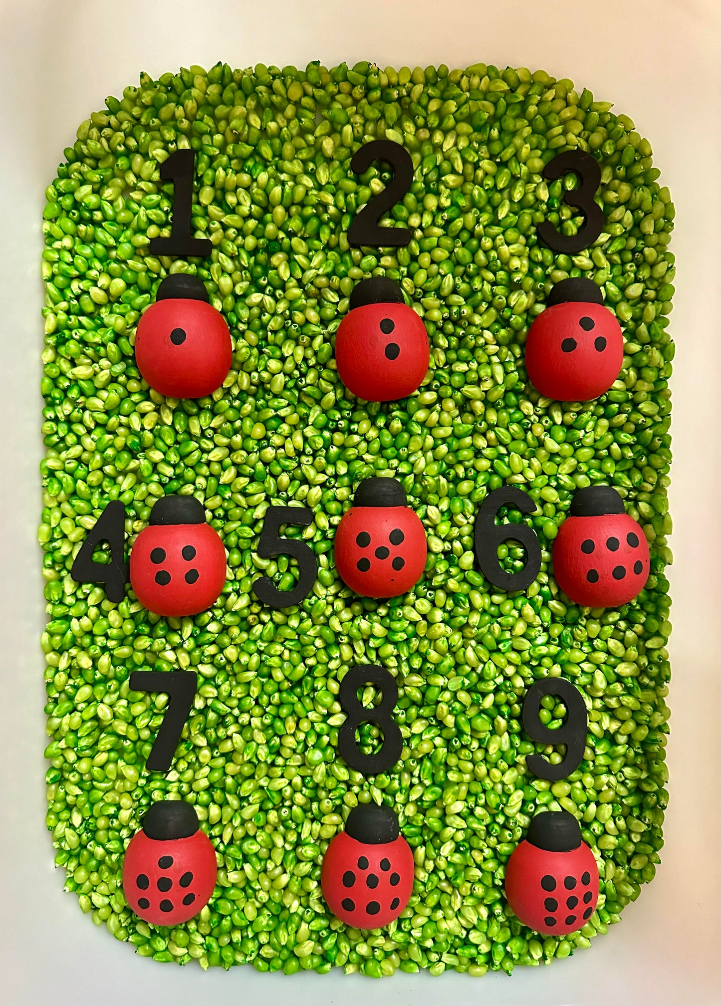 Lady Bug Counting Kit by Sensory Made Simple
