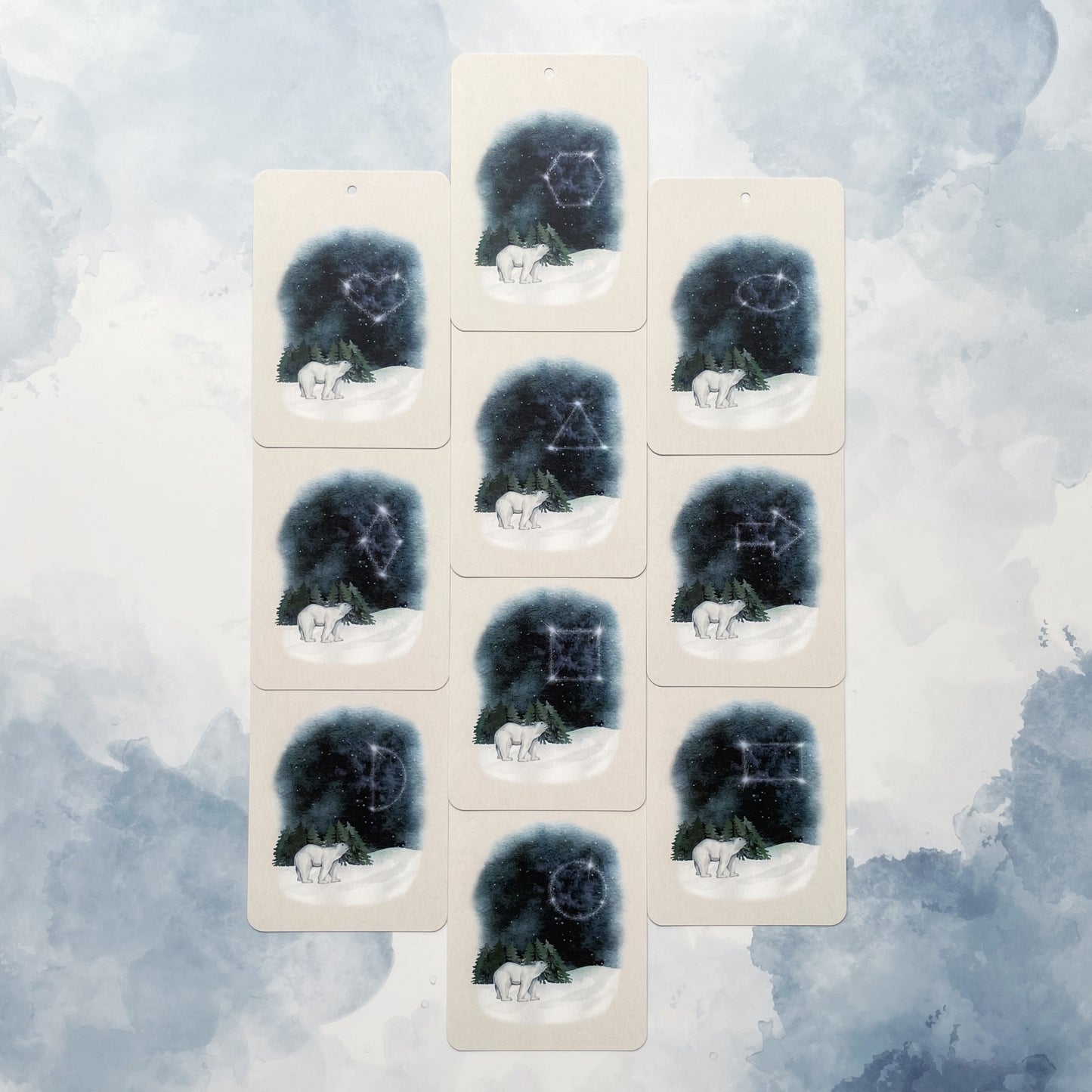 Stage 3: Polar Friends - In A Flash Flashcards