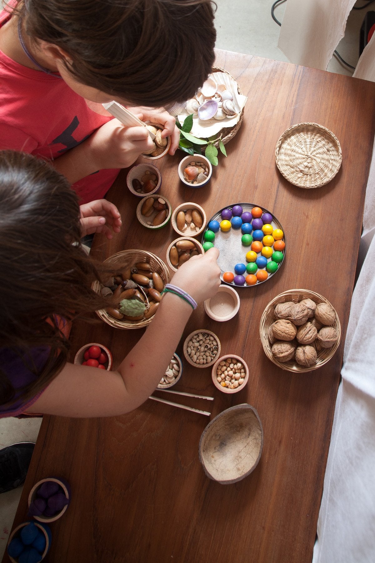 Grapat Wood Coloured Bowls and Marbles with Tongs - Wood Wood Toys Canada's Favourite Montessori Toy Store